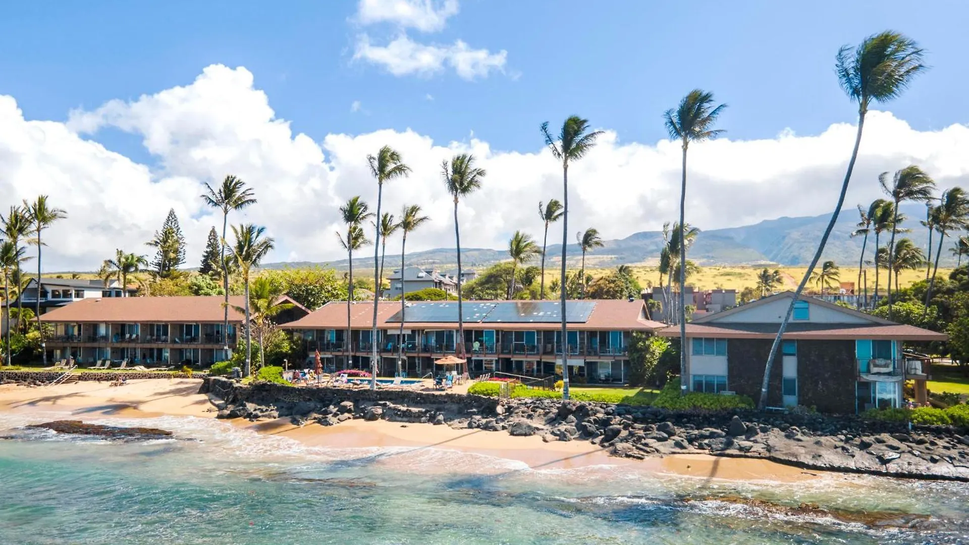 Modern Oceanfront Beach Hale Kai 1Bed Kahana